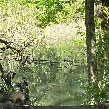 Dom wakacyjny Biberspur Zieko