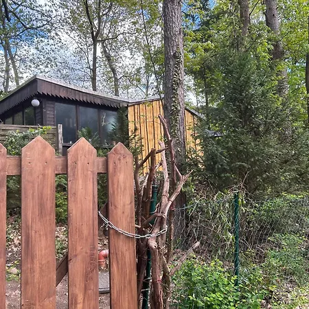 Dom wakacyjny Biberspur *