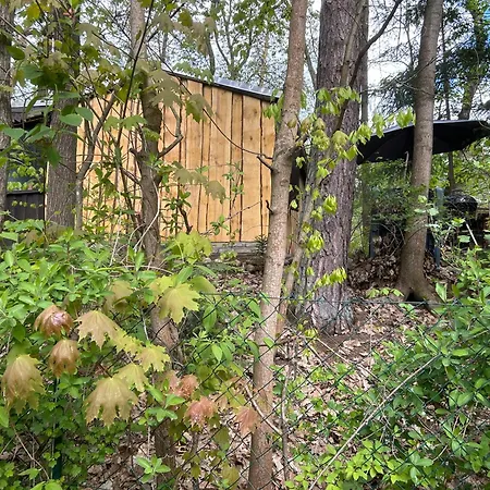 Dom wakacyjny Biberspur