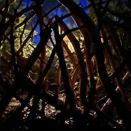 Дом отдыха Biberspur Zieko