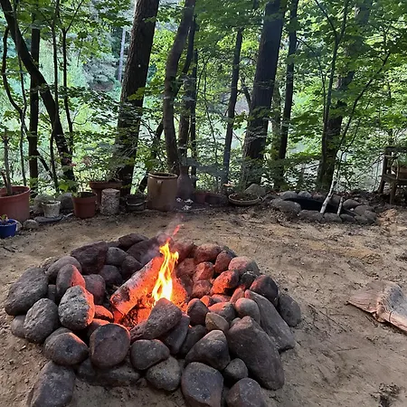 Biberspur Zieko