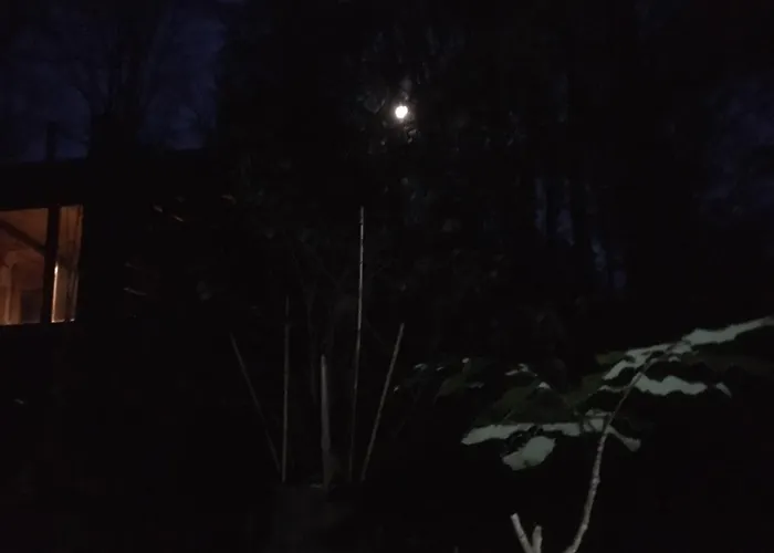 Nyaraló Biberspur Zieko