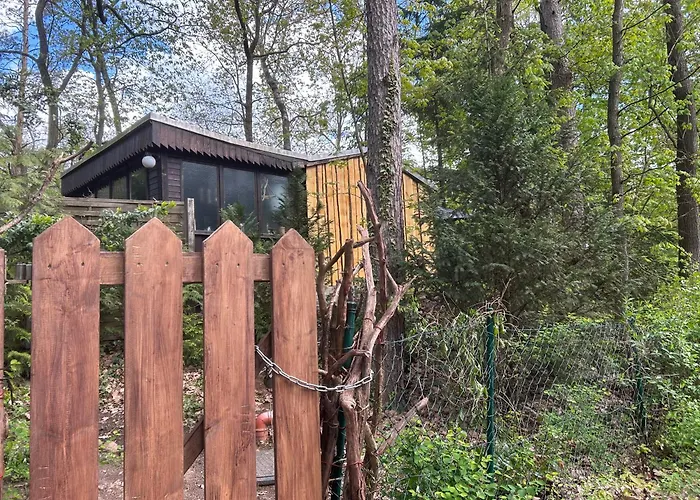 Nyaraló Biberspur *