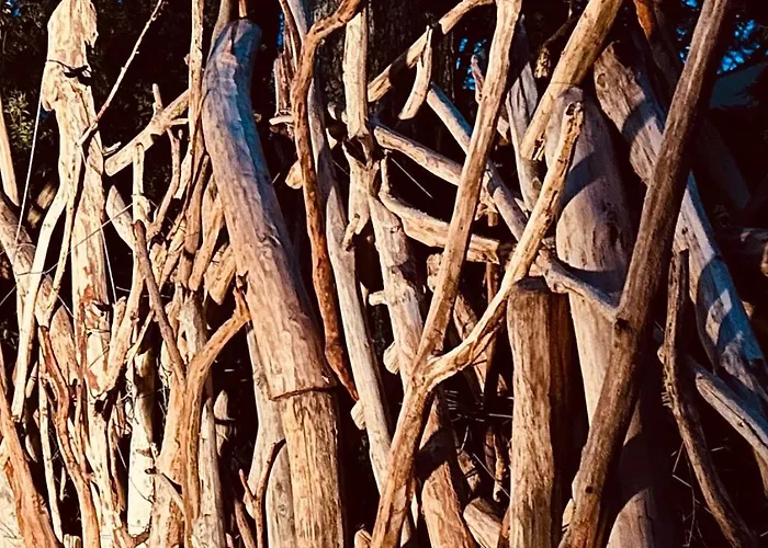 Biberspur Nyaraló *